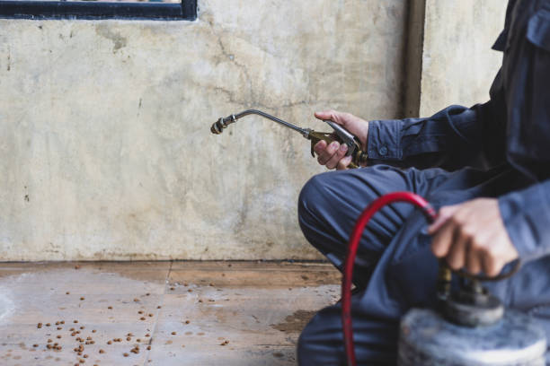Best Exterminator Services  in Grayson, GA